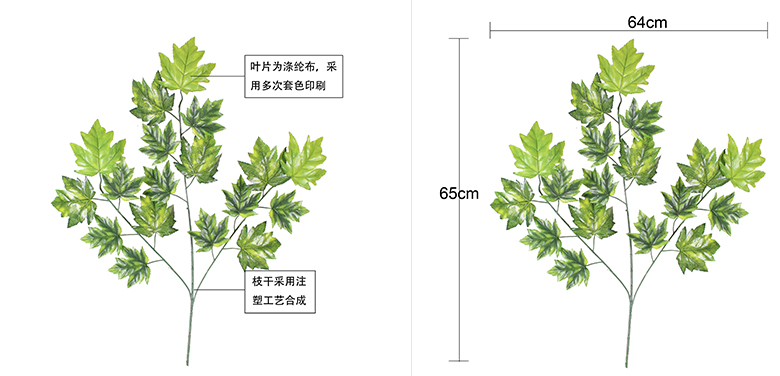 香山楓